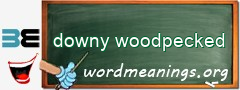 WordMeaning blackboard for downy woodpecked